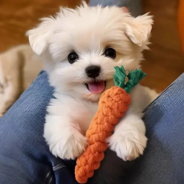 1pc Pet Dog Toys Carrot Bite Resistant Dog Chew Toys for Small Dogs Puppy Molar Cleaning Teeth Cotton Rope Toy Dogs Accessories