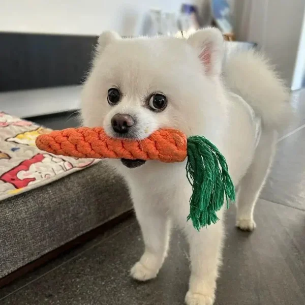 1pc Pet Dog Toys Carrot Bite Resistant Dog Chew Toys for Small Dogs Puppy Molar Cleaning Teeth Cotton Rope Toy Dogs Accessories - Image 6