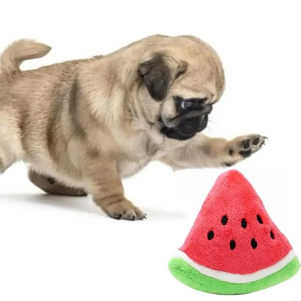 Watermelon Dog Toy! - Image 2