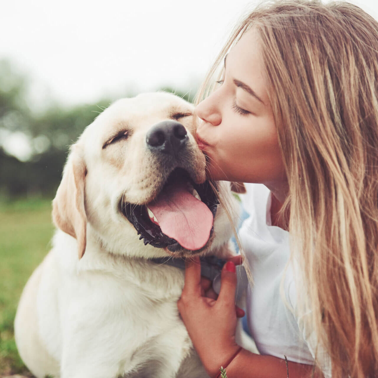 Frame with a beautiful girl with a beautiful dog in a park on green grass